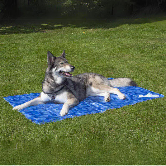 Happy dog lying on a cooling mat during summer