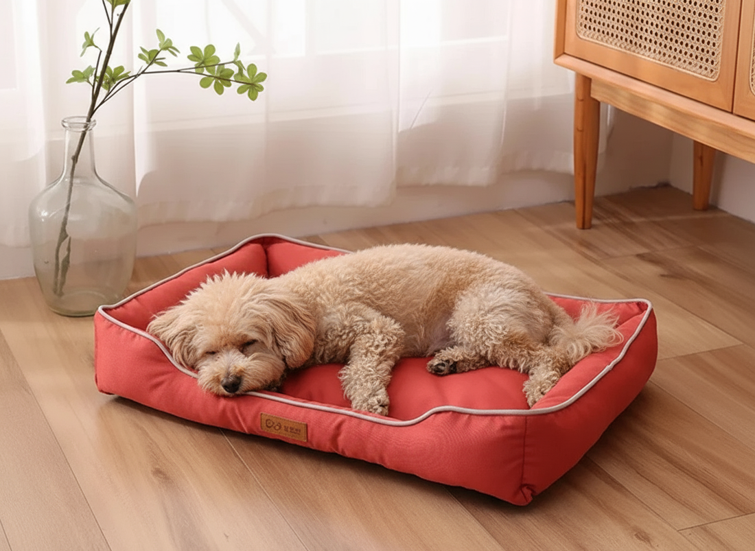 Stylish Living: How the Four-Season Square Dog Bed Elevates Your Home Interior