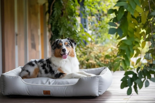 The Modern Pet Essential: Four-Season Square Dog Bed for Health & Happiness