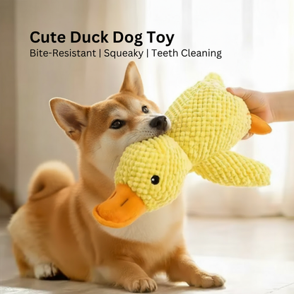 Cute Duck Squeaky Toy for Dogs