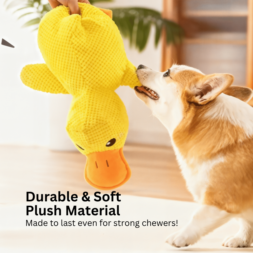 Cute Duck Squeaky Toy for Dogs