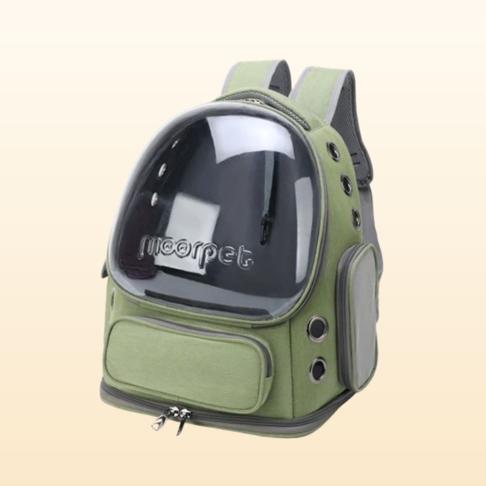 Transparent Foldable Pet Carrier Backpack
