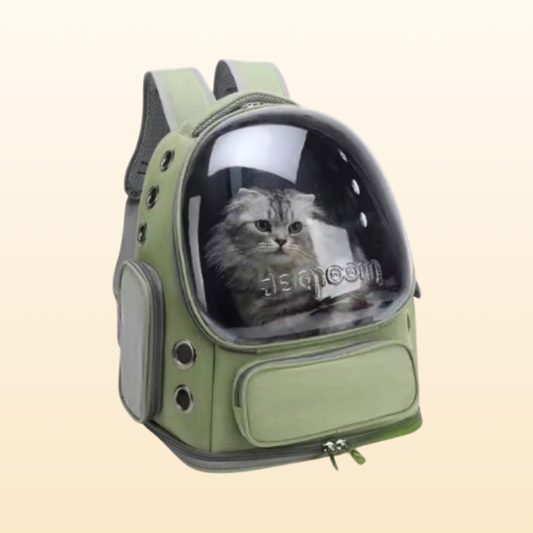 Transparent Foldable Pet Carrier Backpack
