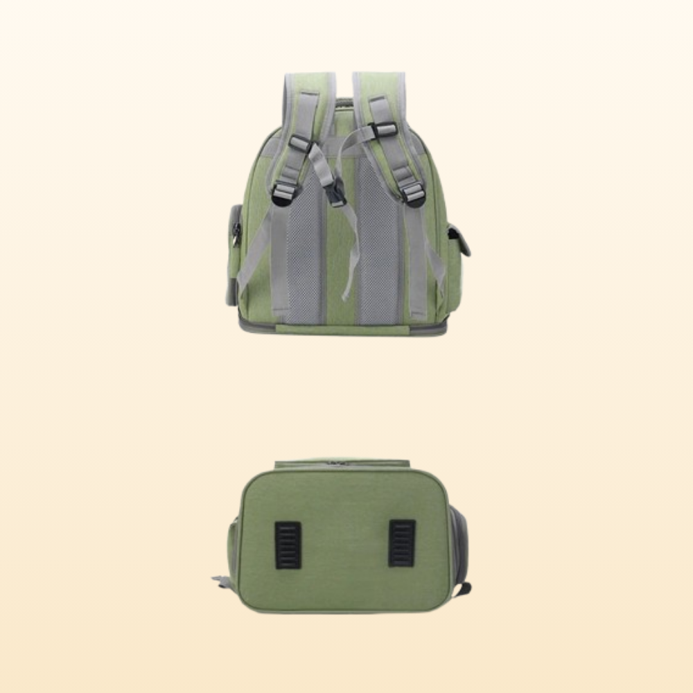 Transparent Foldable Pet Carrier Backpack