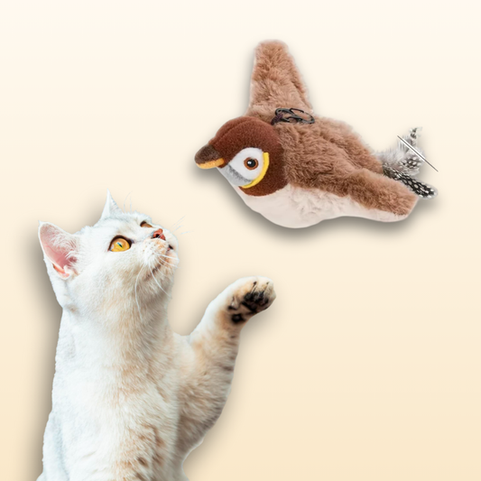 Interactive Flappy Bird for Cats