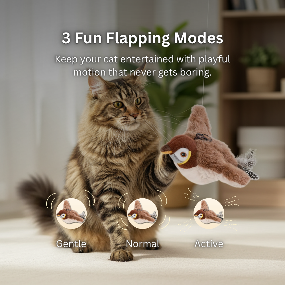 Interactive Flappy Bird for Cats