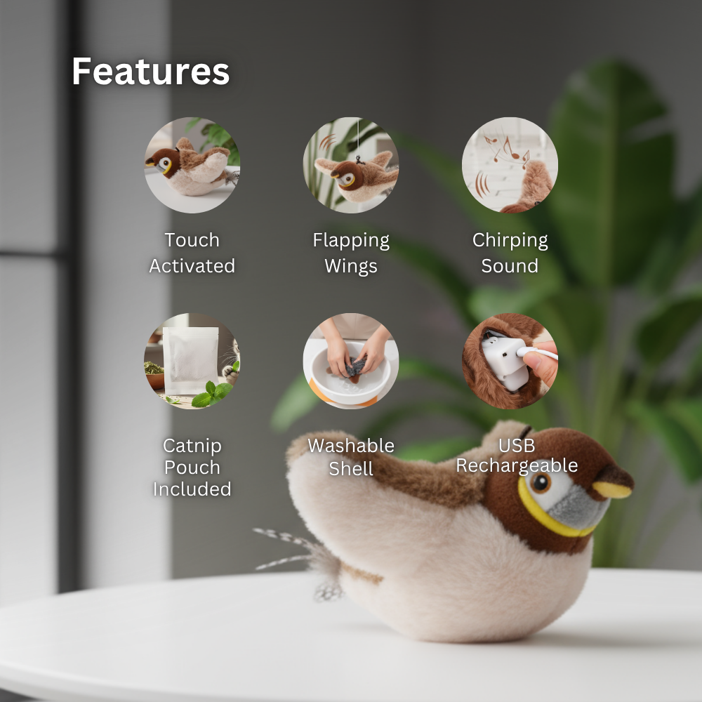 Interactive Flappy Bird for Cats