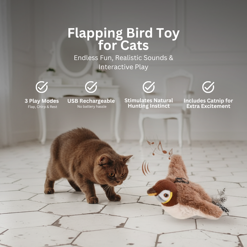 Interactive Flappy Bird for Cats