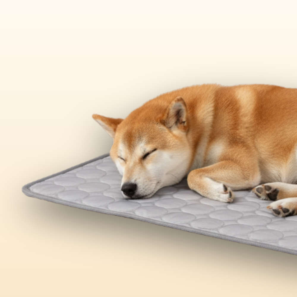Dog Cooling Mat