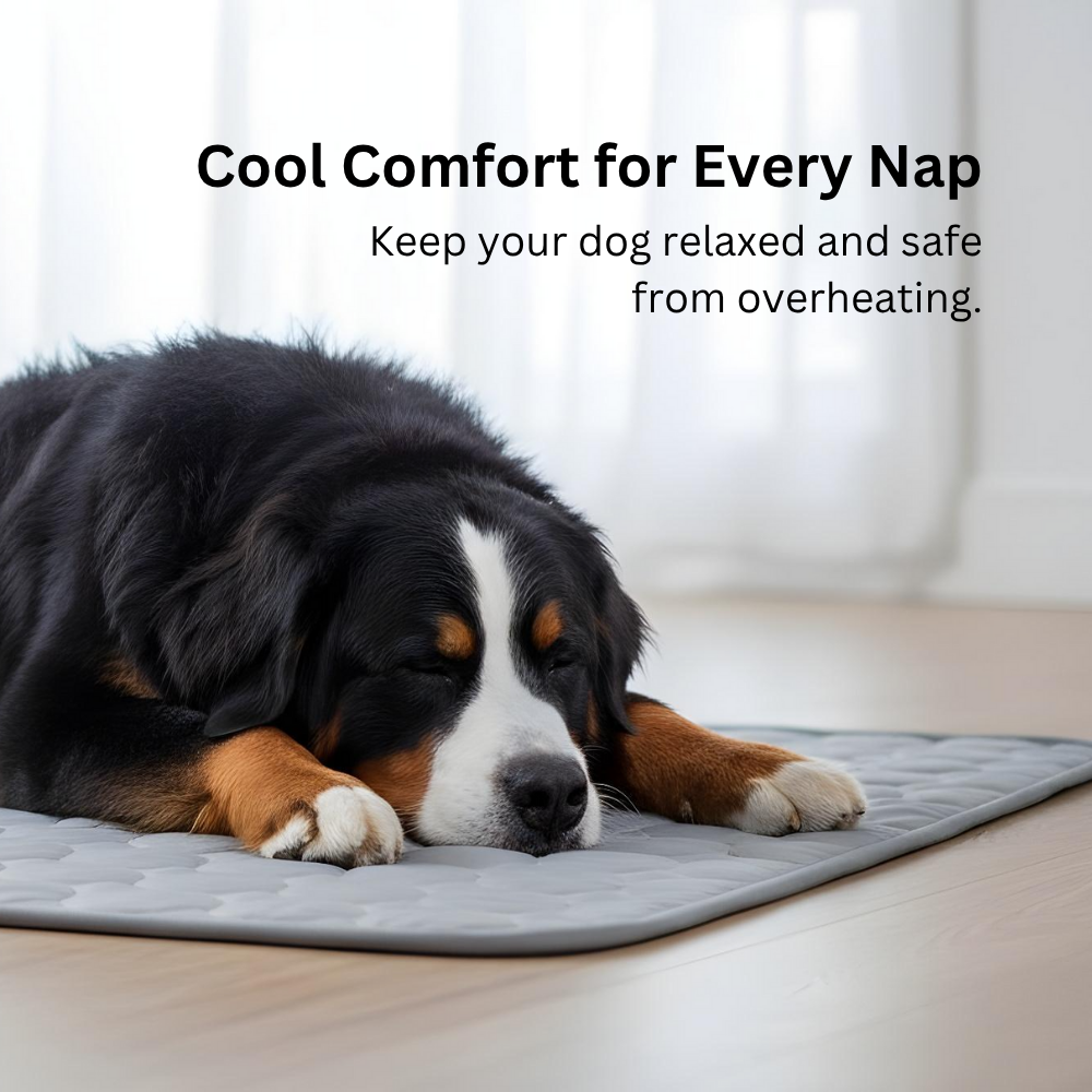 Dog Cooling Mat