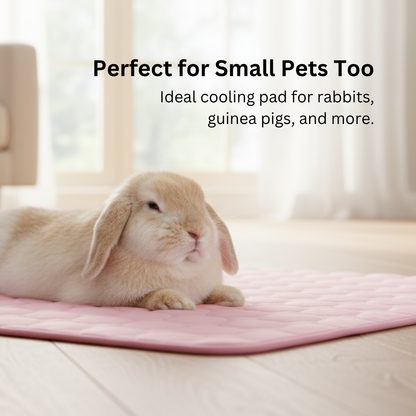 Dog Cooling Mat