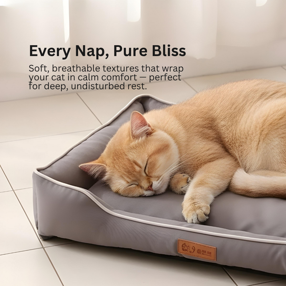 Four-Season Square Dog Bed