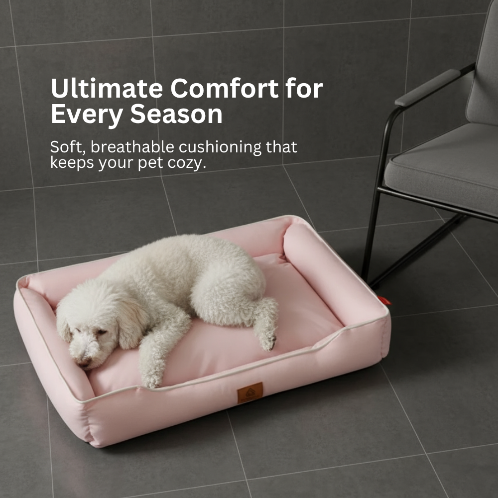 Four-Season Square Dog Bed