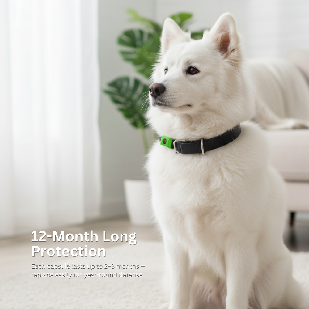 Natural Pets Anti-Flea & Tick Essential Oil Pendant