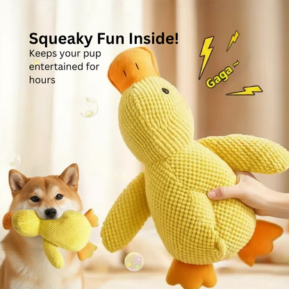 Cute Duck Squeaky Toy for Dogs