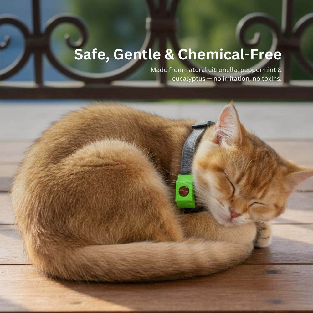 Natural Pets Anti-Flea & Tick Essential Oil Pendant