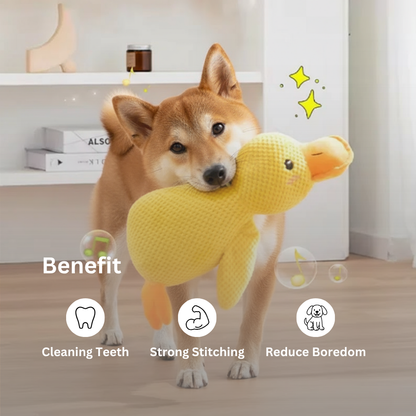 Cute Duck Squeaky Toy for Dogs