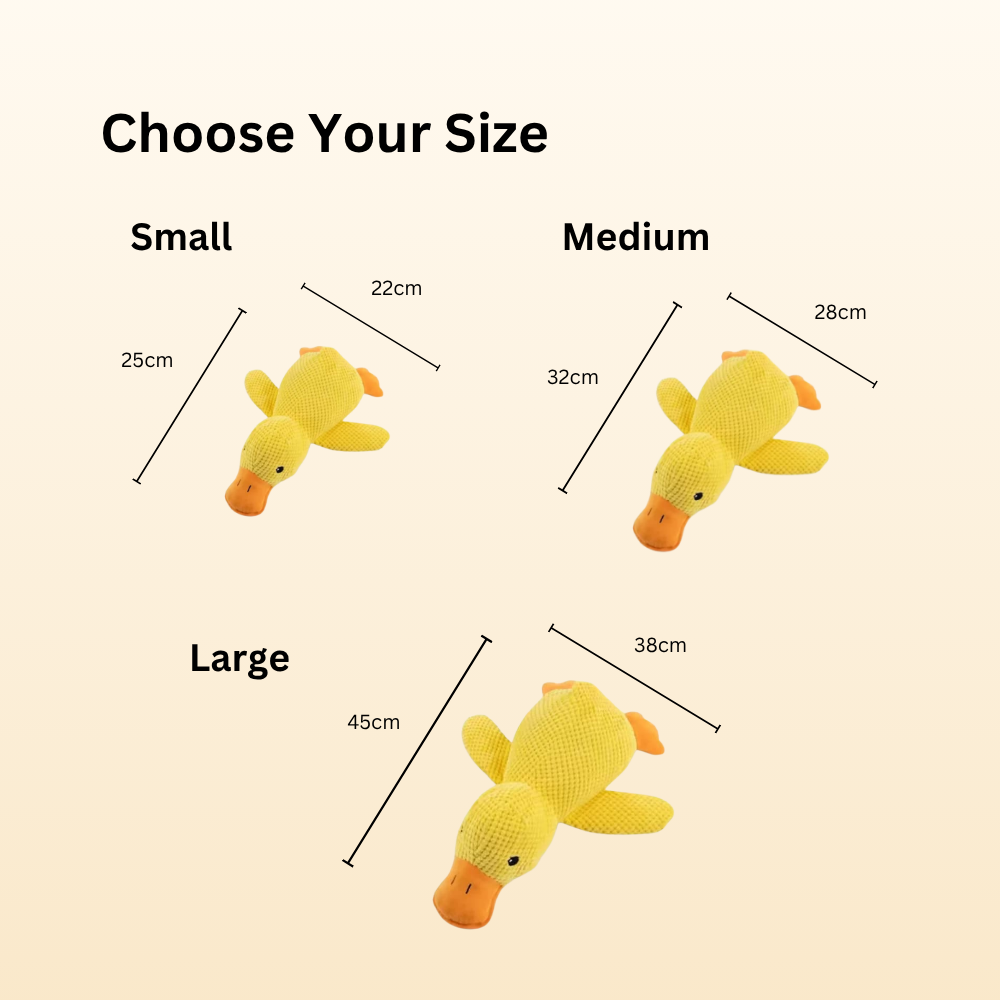 Cute Duck Squeaky Toy for Dogs
