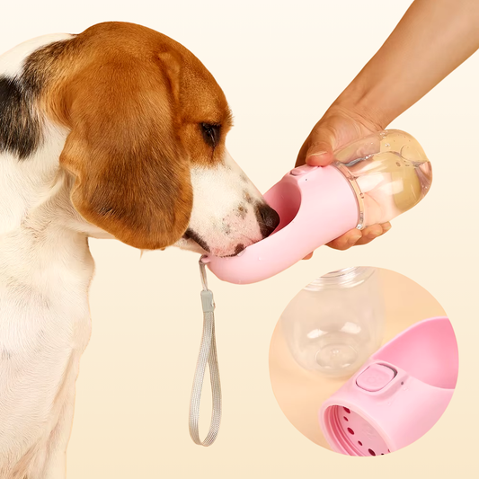 Portable Dog Water Bottle