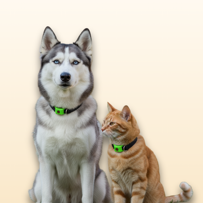 Natural Pets Anti-Flea & Tick Essential Oil Pendant