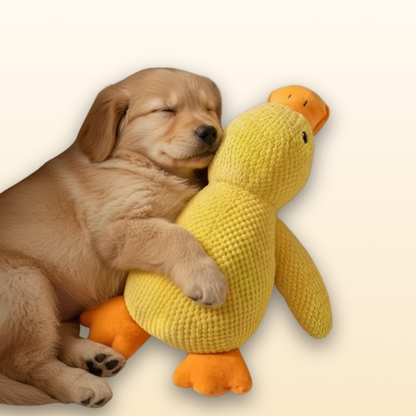 Cute Duck Squeaky Toy for Dogs